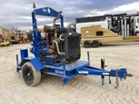 Used Thompson Pumps